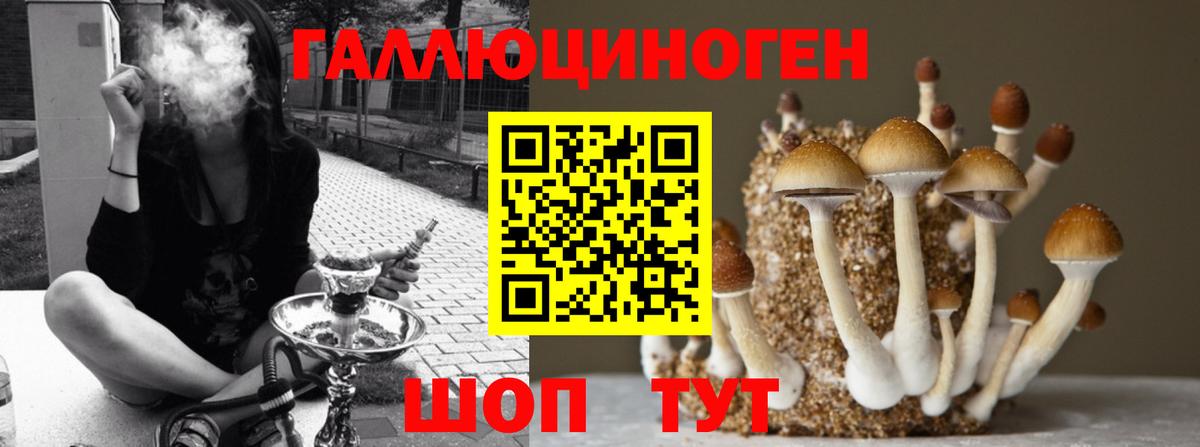 Тавда  Псилоцибиновые грибы мухоморы  Псилоцибиновые грибы мицелий  Вход с VPN 